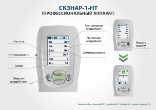 СКЭНАР-1-НТ (исполнение 01)  в Дубне купить Медицинская техника - denasosteo.ru 